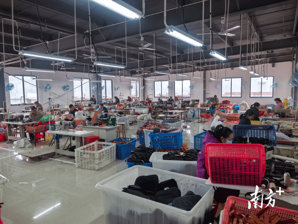 ⑨｜壮瑶锦绣同心浇灌民族团结进步之花ag真人平台第一游戏百千万 广清范(图10)